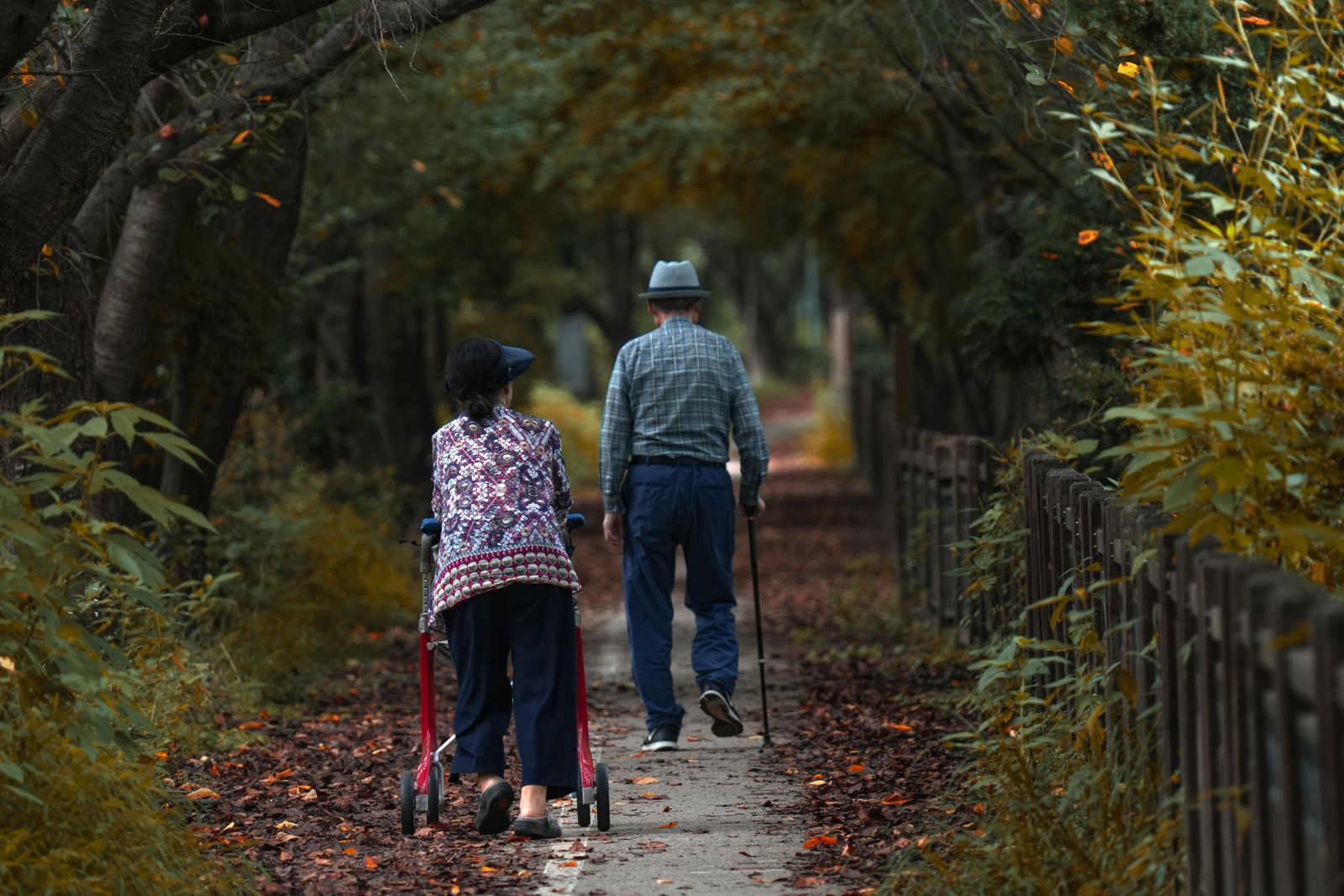 Single Port Robotic Surgery - older couple walking outdoors during recovery