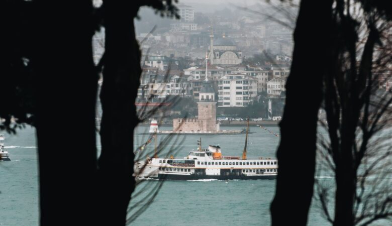 Your Journey to Istanbul for Robotic Urological Surgery