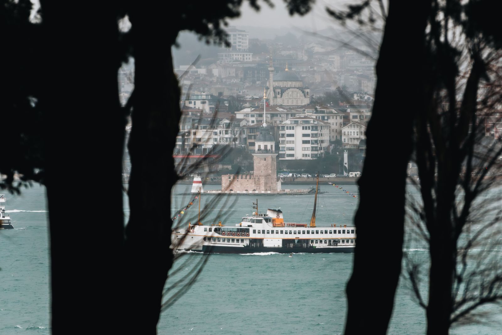 Single Port Robotic Surgery - ferry on the Bosphorus in Istanbul