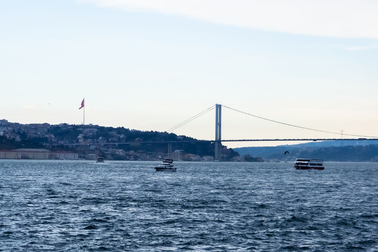 Single Port Robotic Surgery - Bosphorus Bridge and the Istanbul shoreline